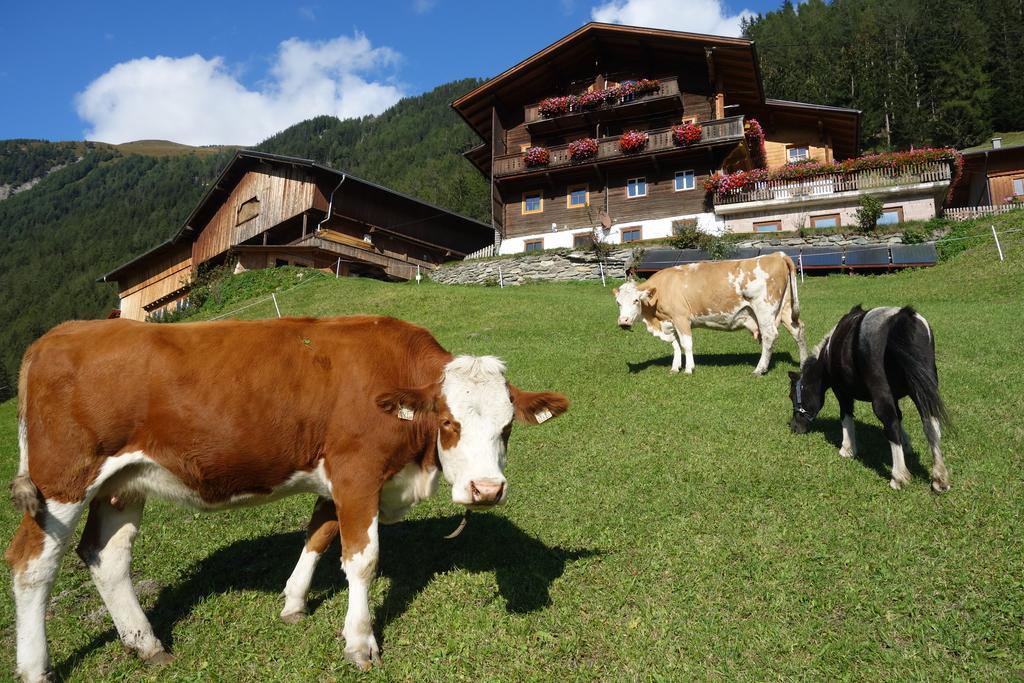 Wachtlerhof Apartment Matrei in Osttirol Exterior photo
